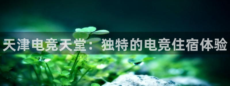 南宫电竞app：天津电竞天堂：独特的电竞住宿体验