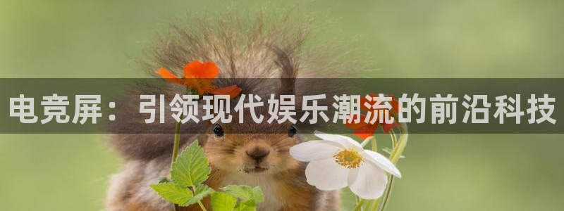南宫电竞注册