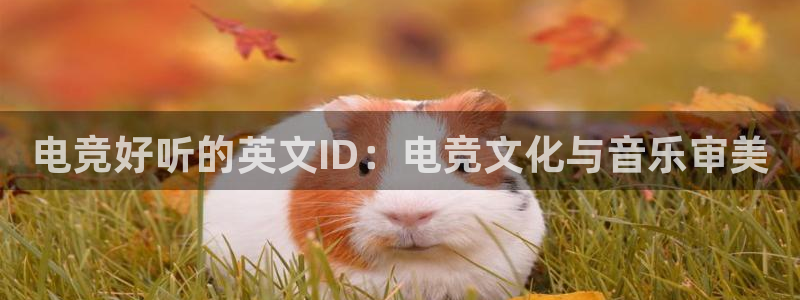 南宫电竞贴吧
