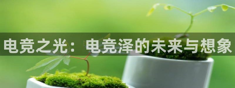 南宫电竞网：电竞之光：电竞泽的未来与想象