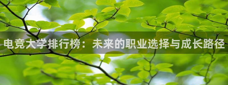 南宫电竞：电竞大学排行榜：未来的职业选择与成长路径