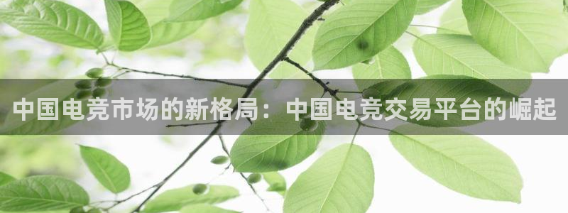 南宫电竞登陆：中国电竞市场的新格局：中国电竞交易平台的崛起