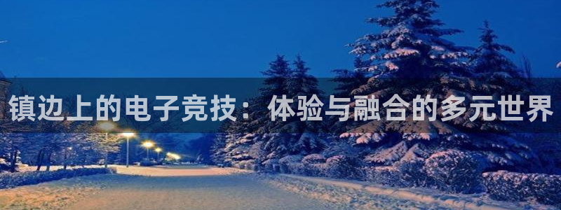 南宫电竞app：镇边上的电子竞技：体验与融合的多元世界