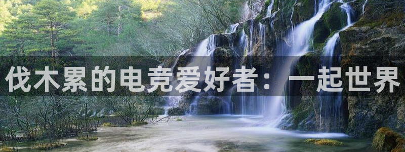 南宫电竞官网：伐木累的电竞爱好者：一起世界