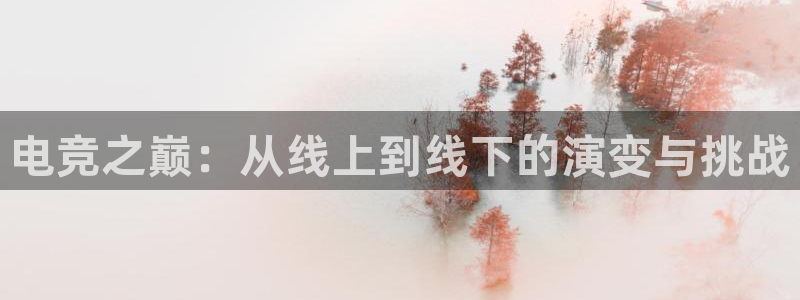 南宫电竞注册：电竞之巅：从线上到线下的演变与挑战